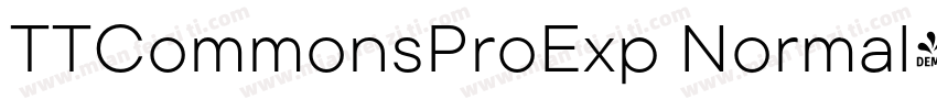 TTCommonsProExp Normal字体转换